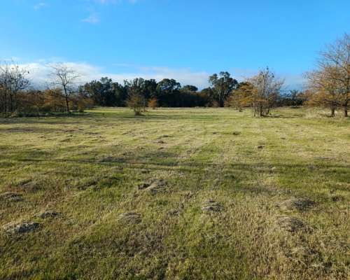 Chacras/lotes de 1 Hectárea en Cañuelas Financiados