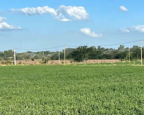 Campo 343 Ha Capitan Sarmiento