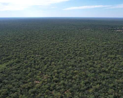 Campo – 5.119 Ha – Figueroa, Santiago del Estero 250 USD