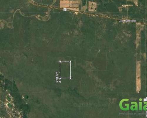 Finca en Venta 600 Has. CAP Page, Rivadavia, Salta