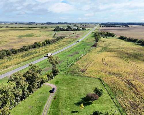 Campo Productivo de 67 Ha en Venta en Baradero Sobre Ruta