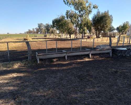 Campo Mixto Partido de Tres Lomas
