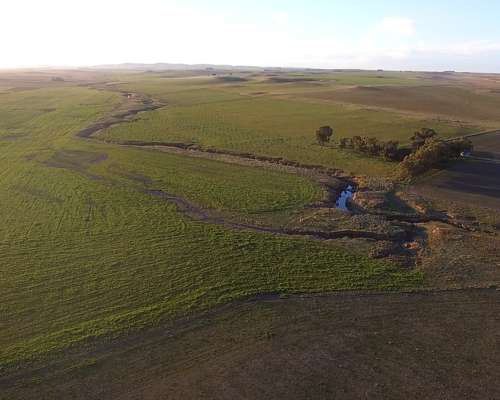 Campo Mixto 680 Has – Coronel Dorrego – Buenos Aires