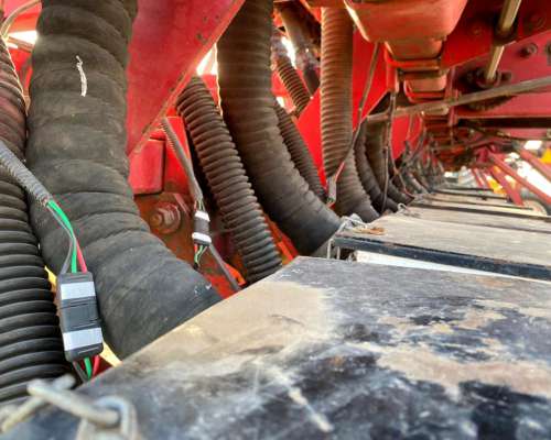 Crucianelli Gringa 28 a 35