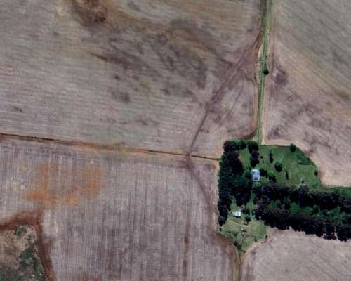 Ofrezco 120 Hectáreas en Azul