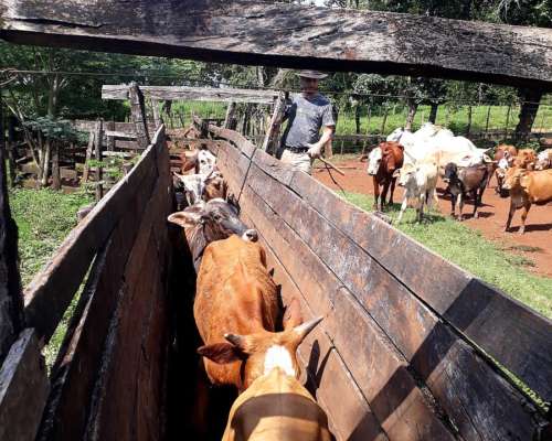 Dueño Vende Campo Misiones
