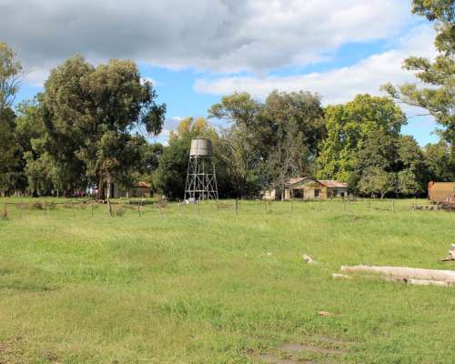 Ba3627 Venta Ganadero 491ha. Carmen de Areco, Buenos Aires
