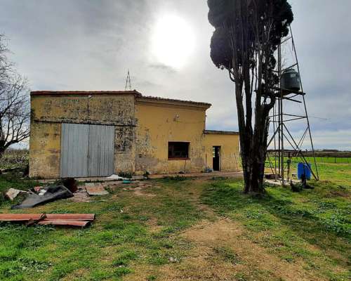 Campo Agrícola de 24,5 Hectáreas con Mejoras en San Nicolas