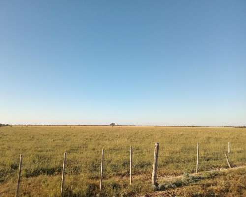 450 Ha en Venta Norte de Córdoba