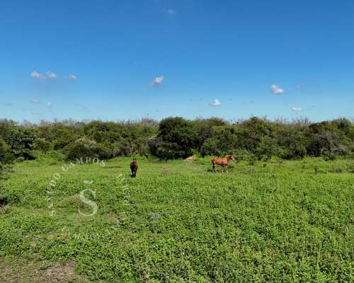 Ambrosetti, Santa FE. Venta 72 HA. Campo Mixto.