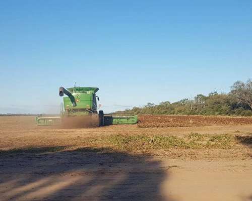 El Bobadal, Jimenez, Santiago del Estero, Argentina
