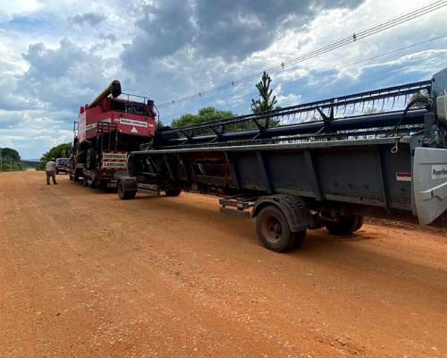 Cosechadora MF 9690 para Importar de Brasil + Impuestos