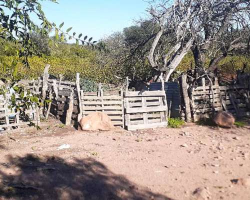 Venta de Campo en Cachi Yaco con Galpones