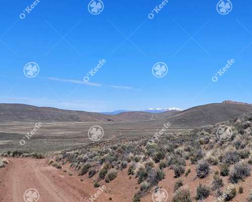 Campo en Venta de 4394 Has Comallo, Rio Negro