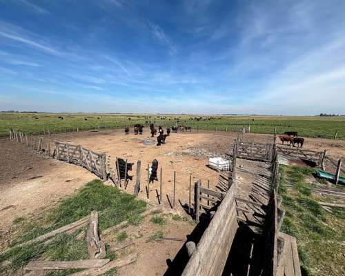 Importante Campo en Venta San Vicente