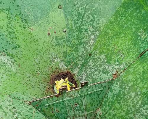 Fertilizadora Amazone Bidisco 3 Puntos