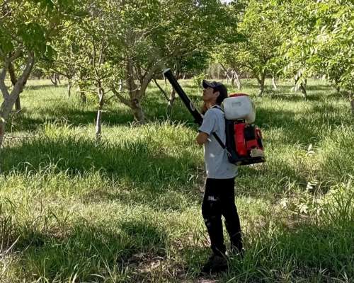 Campo Nogales Merlo San Luis