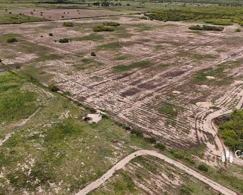Venta Campo de 53 Has. Lindera a Zona SUB Urbana de Tostado