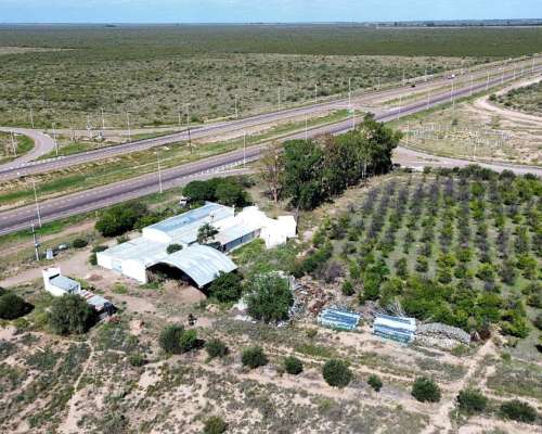 Finca Orgánica de 32 Sobre Ruta 7