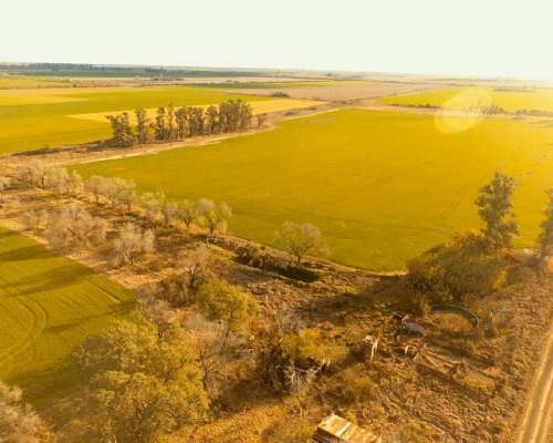 Campo en Venta Rafaela