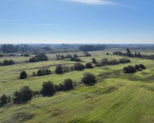 Pcia. de Buenos Aires - Marcos PAZ 185 Has