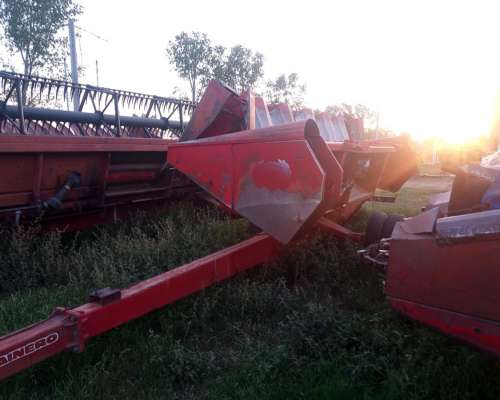 Maicero Mainero 1889 de 6 a 70