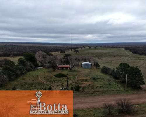 Campo Ganadero en Venta en Hucal, la Pampa