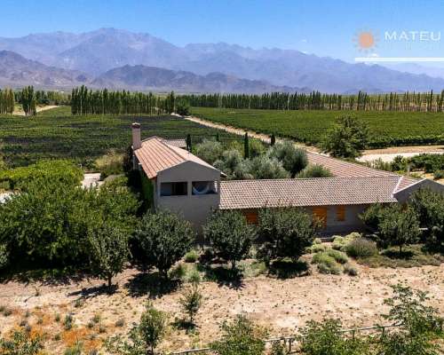 90 Has. Finca en Valle de UCO con Nogales y Viñedos, Mendoza
