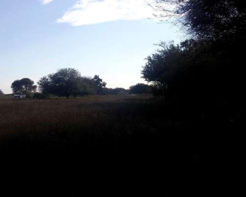 Campo Mixto Agricola - Ganadero - Santiago del Estero 35%off