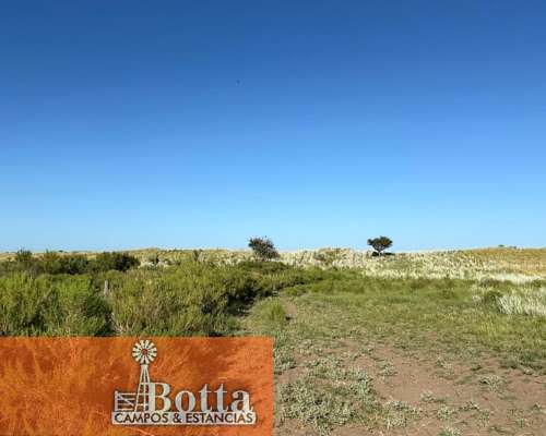 11000has en Venta en Santa Isabel, la Pampa