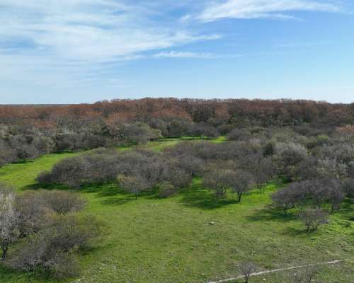 2700 Has. Campo Ganadero en Gualeguaychú