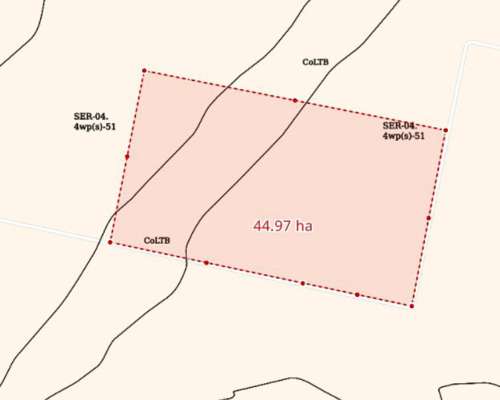 45 Has Agrícolas en Centeno (santa FE)