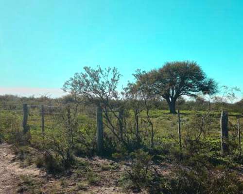 7.387 Ha Cuchillo CO, la Pampa
