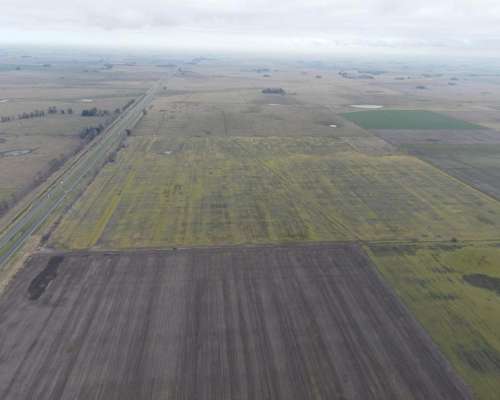 Ruta Nacional 9, Panamericana, Ramallo