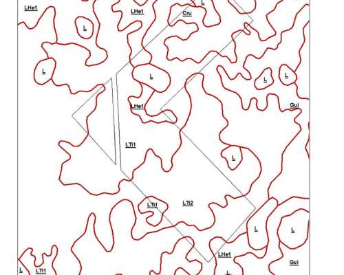 Campo Ganadero Venta Gral Lamadrid 822 Ha