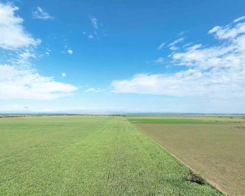 Pcia. de San Luis - Naschel 1306 Ha