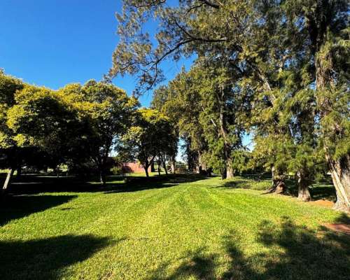 Campo 114 Hectáreas Agrícolas C/ Excelentes Mejoras.