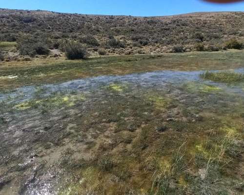 Estancia en Rio Mayo. 7345 HA. Chubut