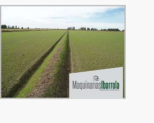 Arado Bordeadores el Pato R