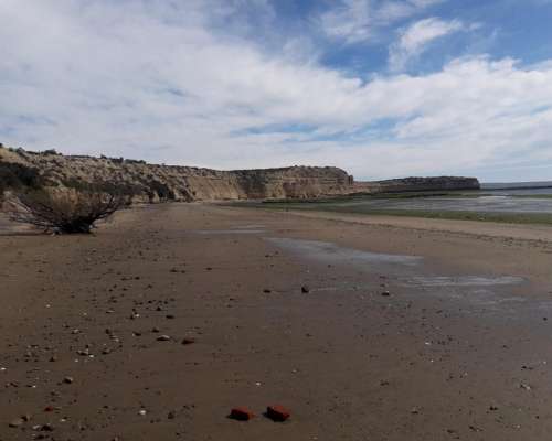 Campo en Peninsula Valdes Chubut 10.000 Ha Costa al MAR