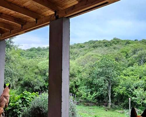 Campo 200 HA. con Rios, Casa e Internet