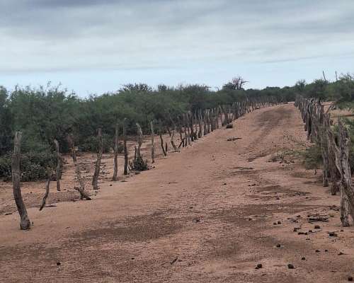 La Rioja 3700 Has Ganaderas