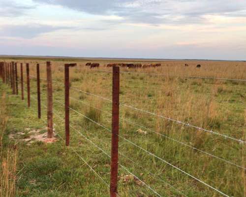 2000 Hectareas Frente a Ruta Nacional