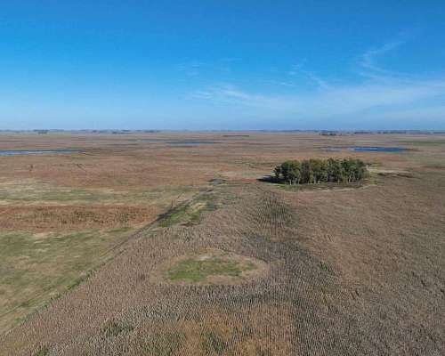 Pcia. de Buenos Aires - Gorch 860 Ha