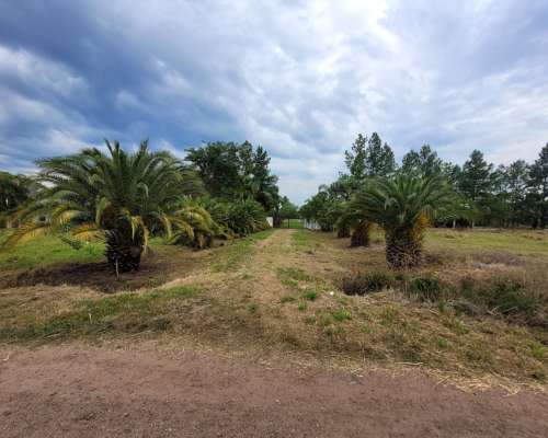Venta Lote 5800 M2 Sobre Ruta NAC 123 en Mercedes Corrientes
