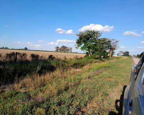 Alquiler / Venta de Campo para Cosecha