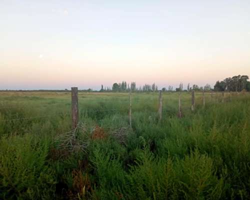 Las Catitas (mendoza) 298 Has/ Autopista