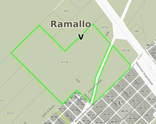 Campo 52 Has, Ramallo(b)