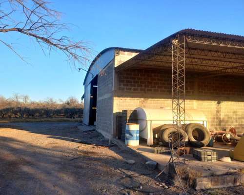 Campo con Fabrica de Aceite de Oliva en Catamarca