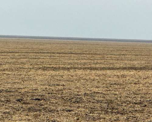 1000 Ha Agrícolas en Otumpa. Santiago del Estero.